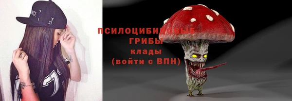 стафф Алзамай