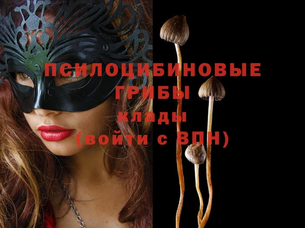 дурь Алексеевка