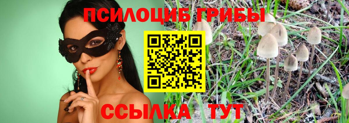 Псилоцибиновые грибы MAGIC MUSHROOMS Благодарный